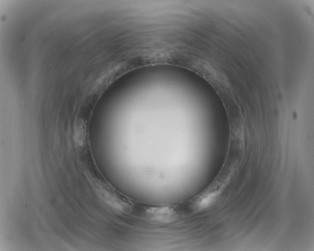 X0000078850133200611201348