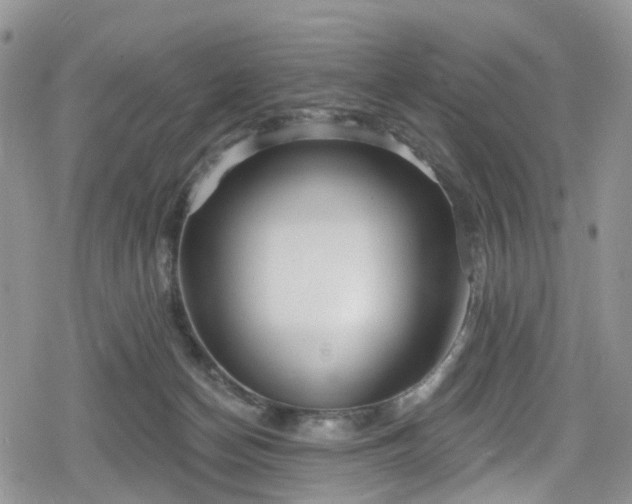 X0000078850174200611201348