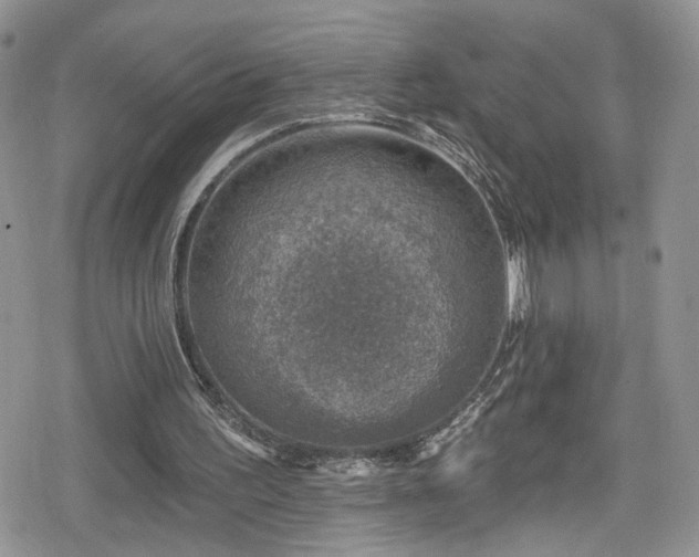 X0000078850195200611201347