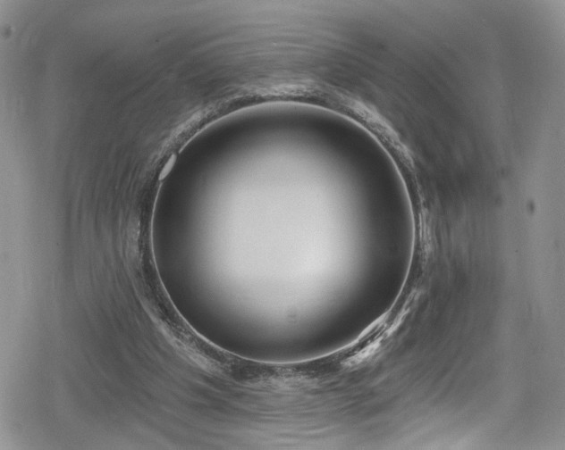 X0000078850201200611201347