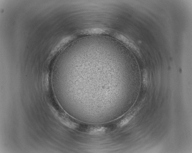 X0000078850206200611201347