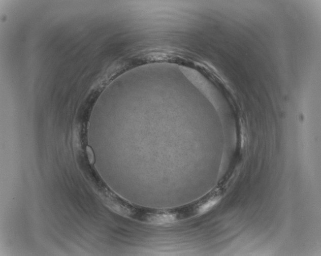 X0000078850217200611201347