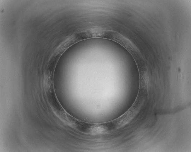 X0000078850218200611201347