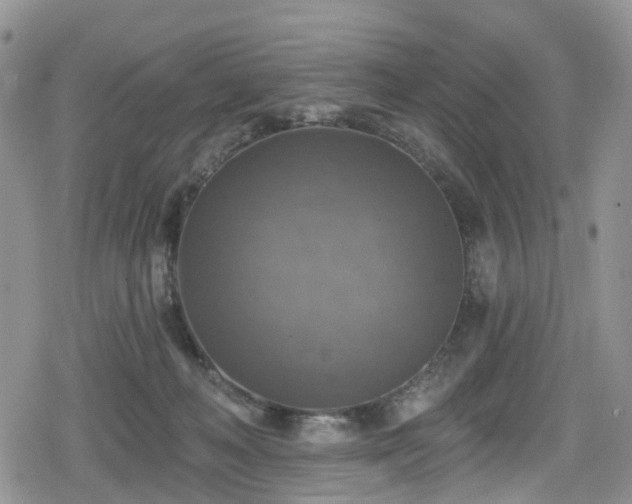 X0000078850222200611201347