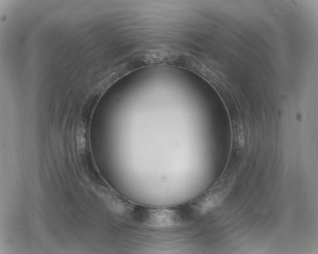X0000078850226200611201347