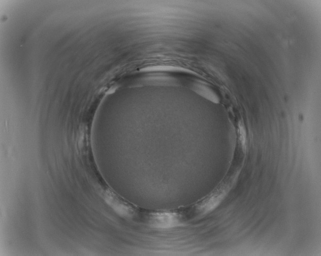 X0000078850233200611201347