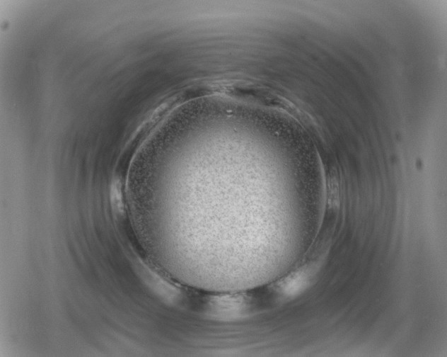 X0000078850238200611201346