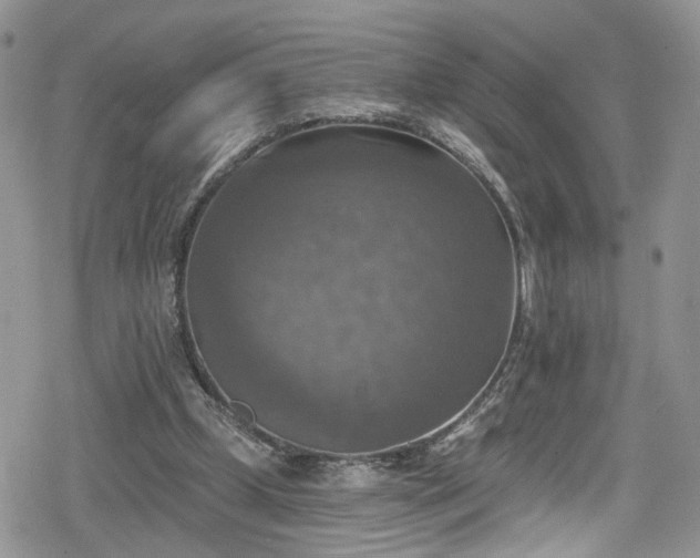 X0000078850249200611201346