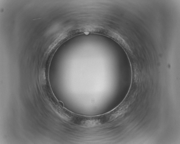 X0000078850251200611201346
