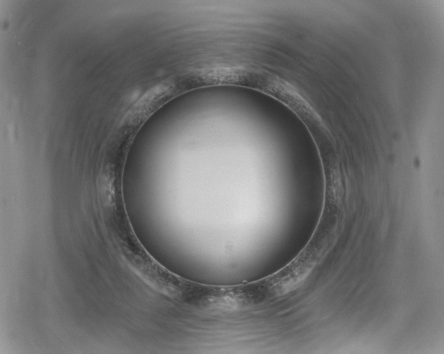 X0000078850259200611201346