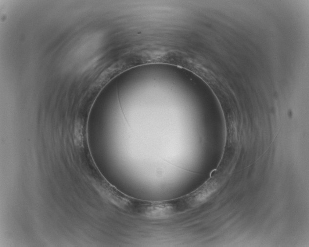 X0000078850274200611201346
