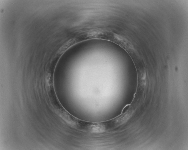 X0000078850275200611201346