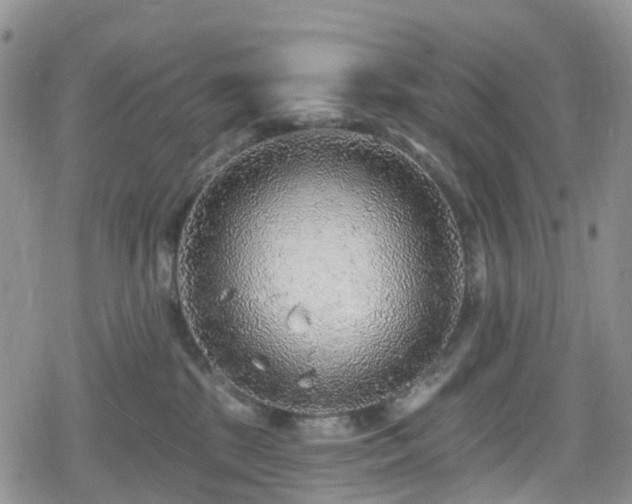 X0000078850281200611201346