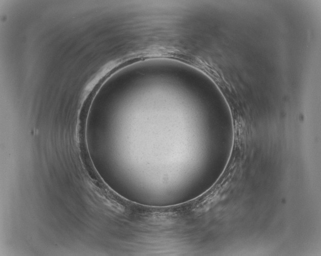X0000078850292200611201346