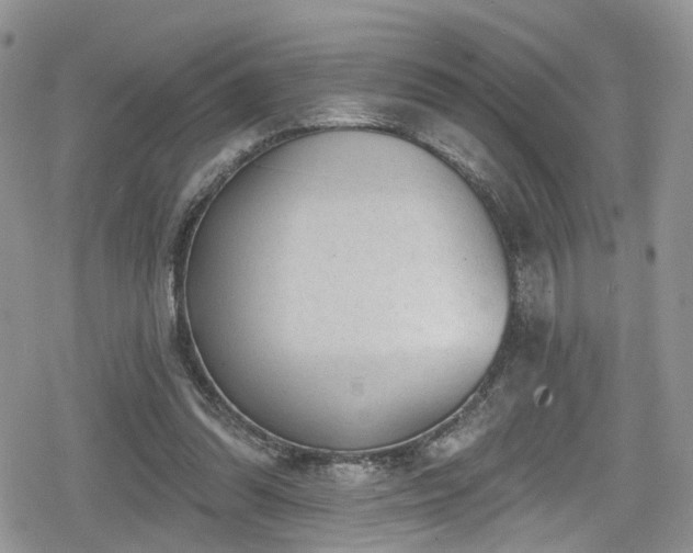 X0000078850302200611201345
