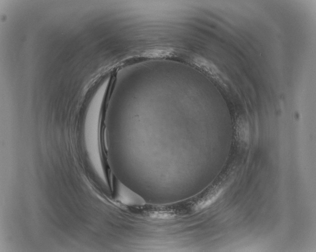 X0000078850303200611201345