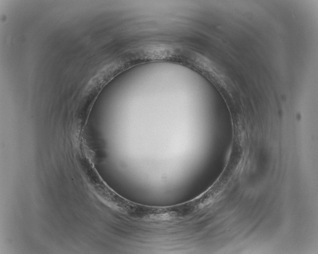X0000078850307200611201345