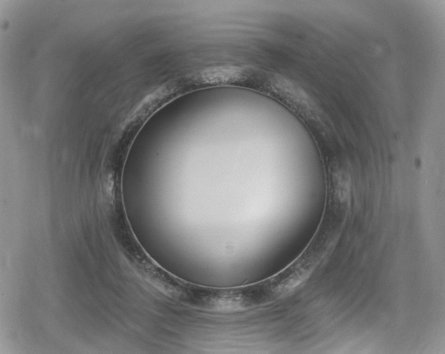 X0000078850308200611201345