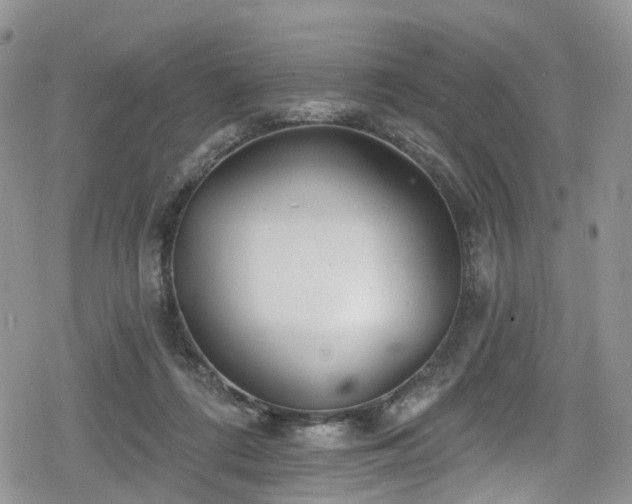 X0000078850312200611201345
