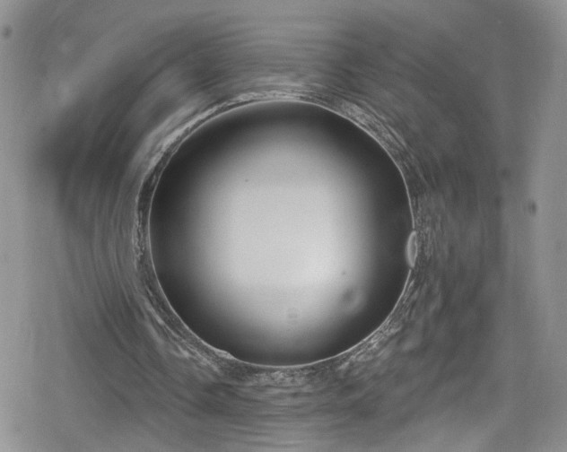 X0000078850338200611201344
