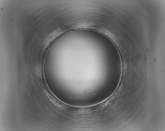 X0000078850345200611201344