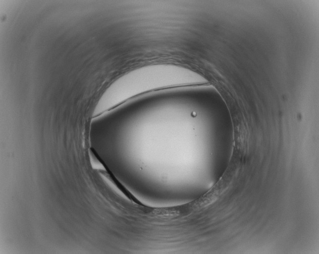 X0000078850368200611201345