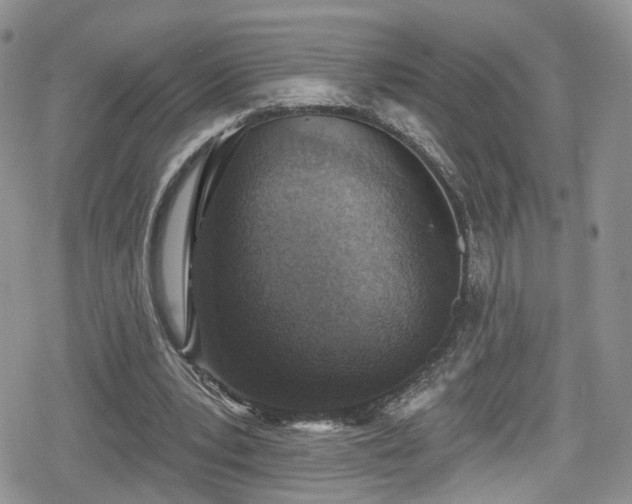 X0000078850391200611201344
