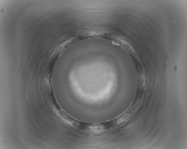 X0000078850415200611201344