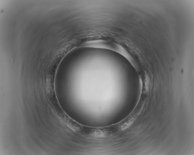 X0000078850416200611201344