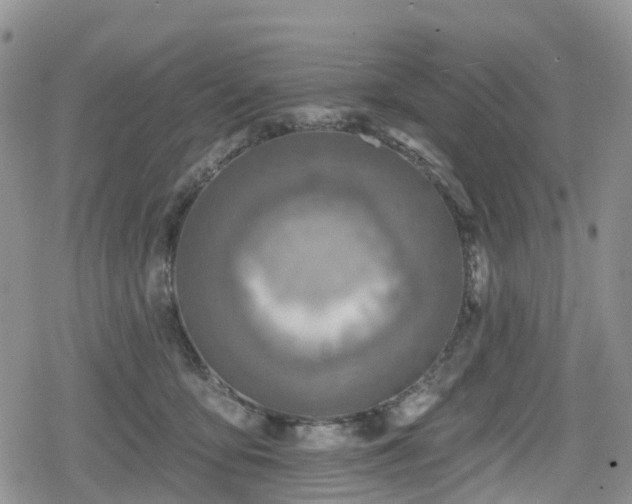 X0000078850419200611201343