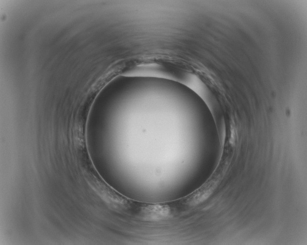 X0000078850421200611201343