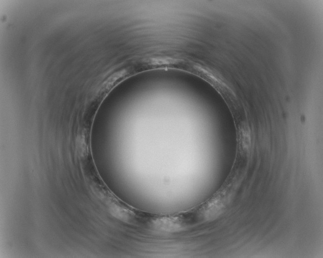X0000078850422200611201343