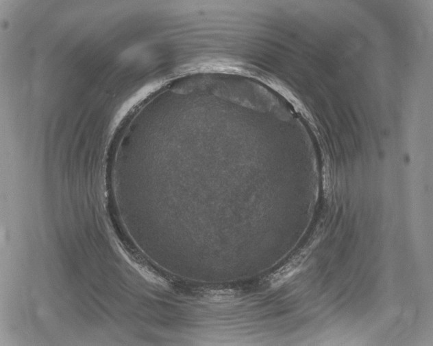 X0000078850438200611201343