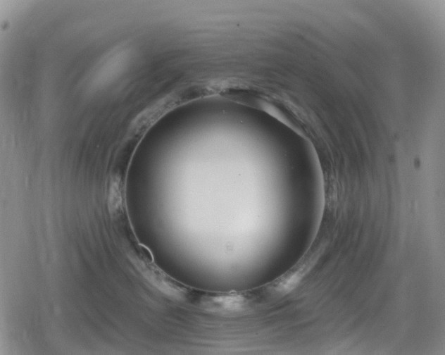 X0000078850478200611201343