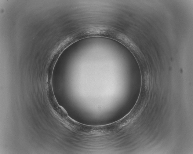 X0000078850490200611201342