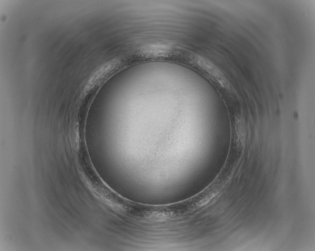 X0000078850494200611201342
