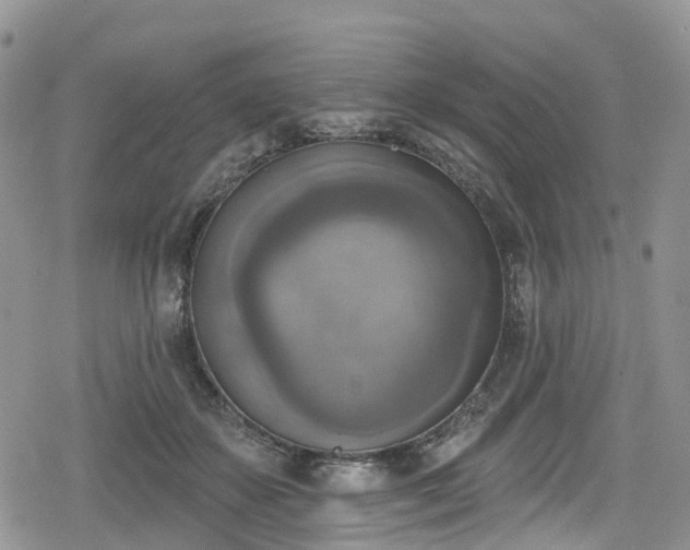 X0000078850507200611201342
