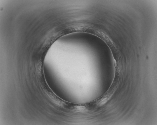 X0000078850509200611201342