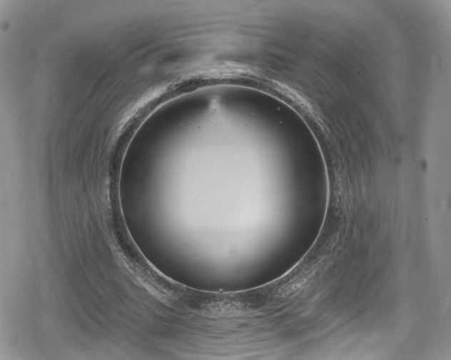 X0000078850535200611201341