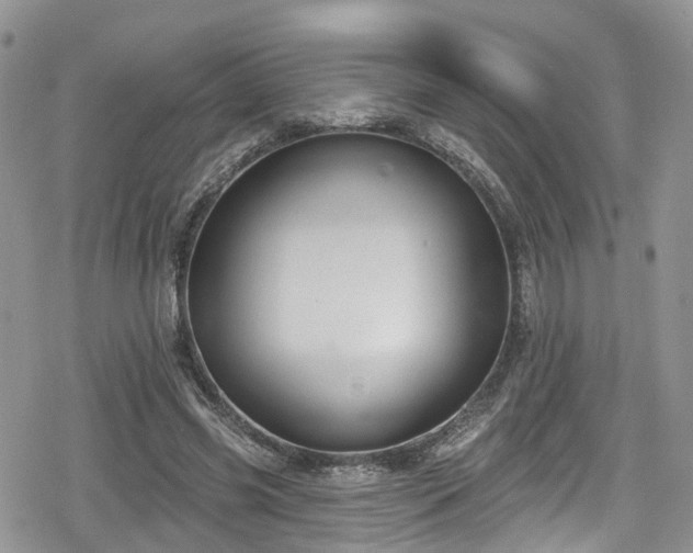 X0000078850541200611201341