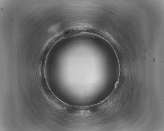 X0000078850543200611201341