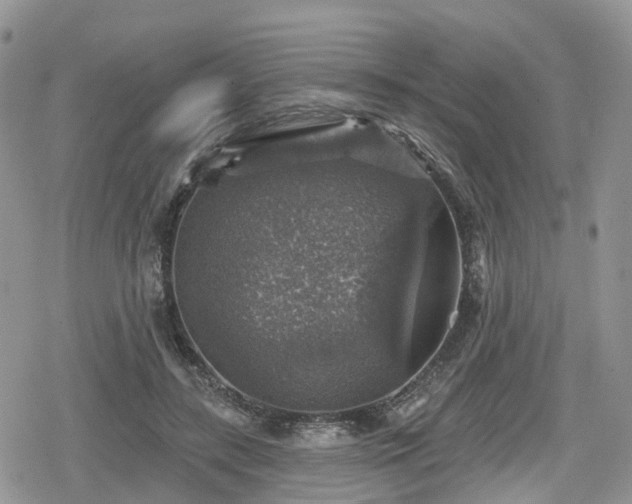 X0000078850547200611201341