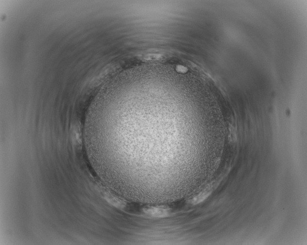 X0000078850561200611201341