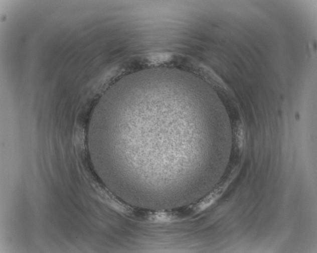 X0000078850565200611201341