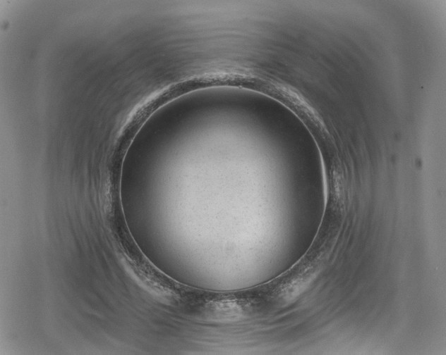 X0000078850588200611201341