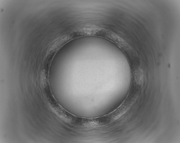 X0000078850594200611201341