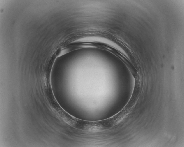 X0000078850597200611201341