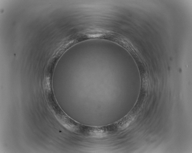 X0000078850598200611201341