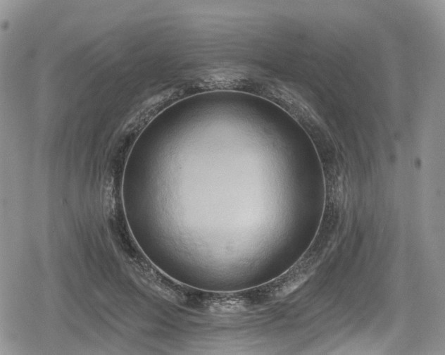 X0000078850599200611201341