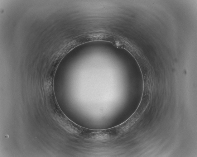 X0000078850601200611201340